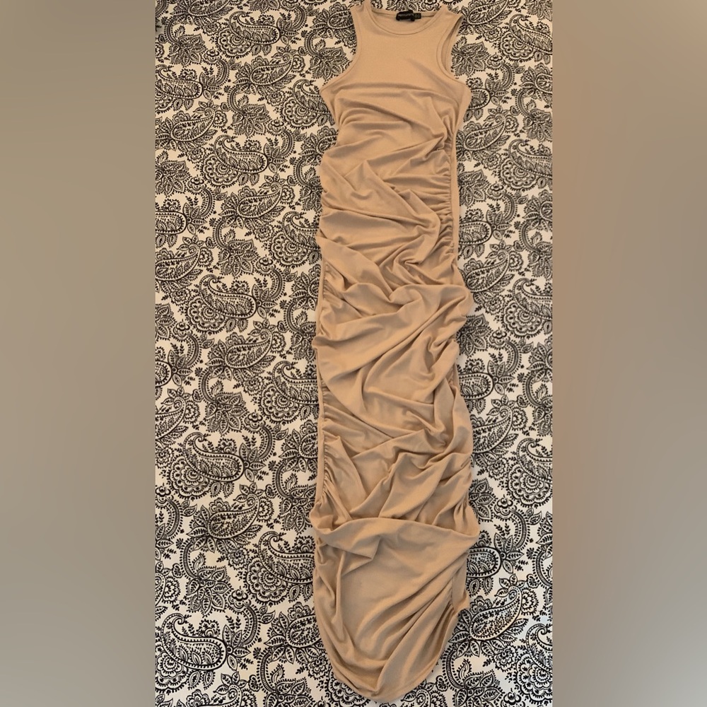 PLT Bodycon Ruched Dress - Picture 5 of 9